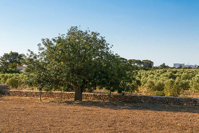Ca Na Maria Teueta San Ferrán de ses Roques